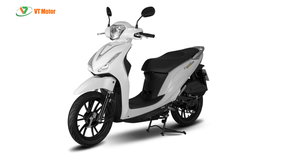Kymco-hermosa-6.png